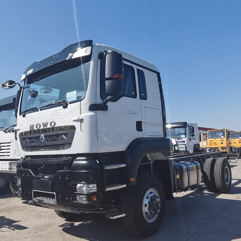 HOWO TX 320 4X2 Cargo Truck